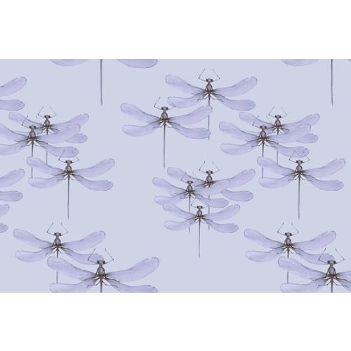 Hedlunds OF SWEDEN Presentpapper 70cmx10m Dragonfly