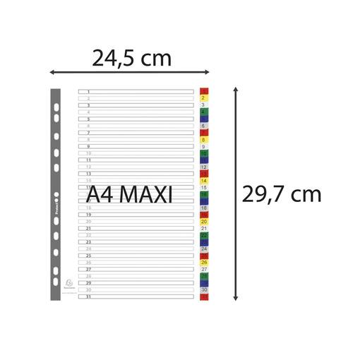 Exacompta Plastregister PP A4+ 1-31 flerfärgad