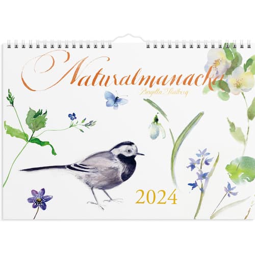 Burde Väggkalender Naturalmanacka – 1728