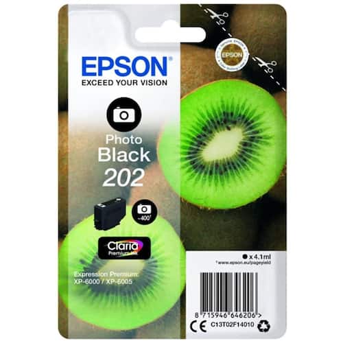 Epson Bläckpatron T202 Photo Black
