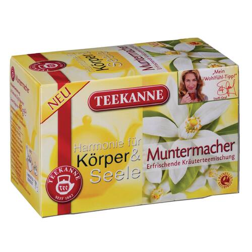 Teekanne Wellness-Tee Frisch & Munter Kräutertee, aromaversiegelt, 20 Beutel, 1 Packung Artikelbild Secondary1 L