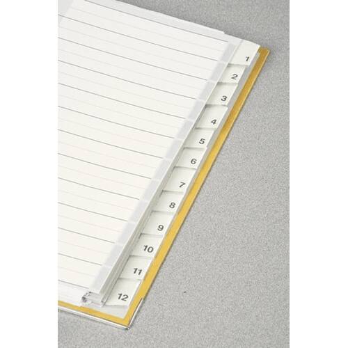 Leitz Register, blanko, 12 Unterteilungen, PP, A4, volle höhe, überbreit, 12 Blatt, grau, 1 Packung Artikelbild Secondary2 L