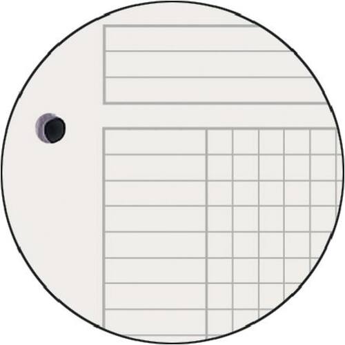 Oxford Notebook mit Spirale A4, kariert 5 mm Artikelbild Secondary2 L