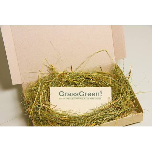 GrassGreen! Gras-Wellpappe-Versandschachteln mit Selbstklebung, Postbox Gr.4G, Graskarton, 340x235x40mm, A4, 50 Stück Artikelbild Secondary3 L