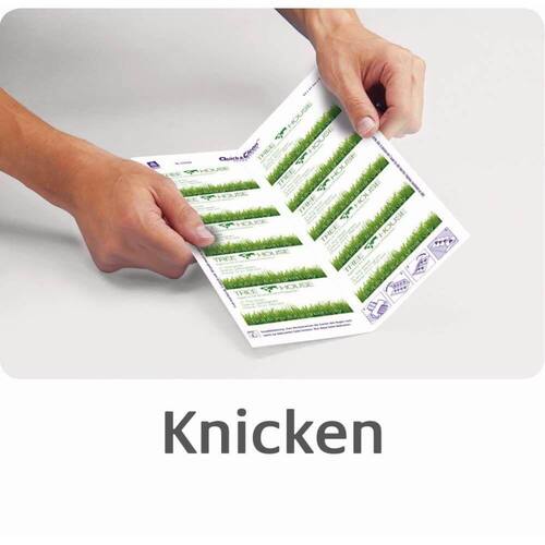 Avery Visitenkarten Premium Quick&Clean™ 85x54mm, 220g, satiniert, weiß, 10 Karten pro Blatt, 25 Blatt Artikelbild Secondary4 L