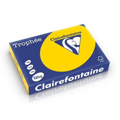 Clairefontaine Multifunktionspapier Trophée, Kopierpapier, Druckerpapier, goldgelb pastell, A4, 120g, 250 Blatt, 1 Packung Artikelbild
