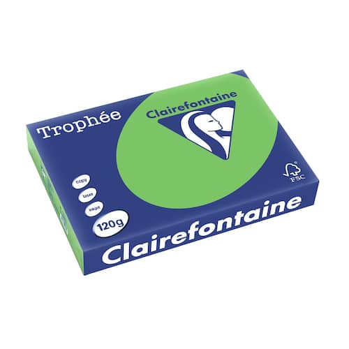 Clairefontaine Multifunktionspapier Trophée, Kopierpapier, Druckerpapier, intensiv mintgrün, A4, 120g, 250 Blatt, 1 Packung Artikelbild