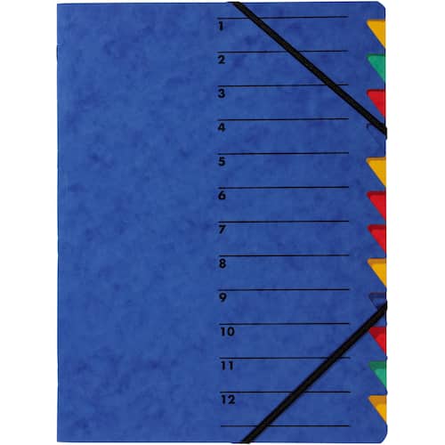 PAGNA Ordnungsmappe Easy, 12 Faecher blau, für A4  mit Gummizug, 1 Stück Artikelbild