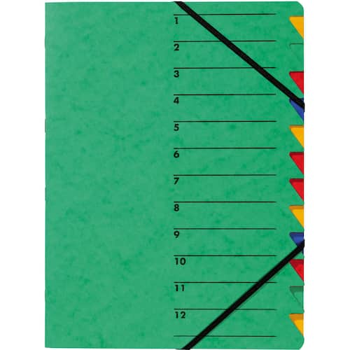 PAGNA Ordnungsmappe Easy, 12 Fächer, grün, für A4  mit Gummizug, 1 Stück Artikelbild