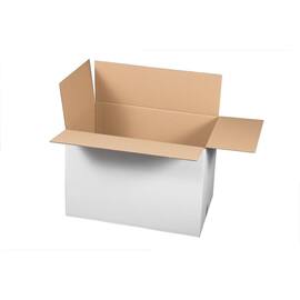 Smartbox Pro Faltkarton 2-wellig, Versandkarton, Faltschachtel, 600x400x400mm, weiss, 10 Stück Artikelbild