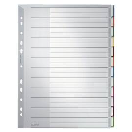 Leitz Ordnerregister A4, blanko, 12 Blatt, überbreit, grau Artikelbild