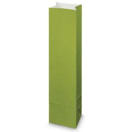 Flaschenbeutel für 1 Flasche Wein oder Sekt, 100x80x410mm, grün, 50 Stück Artikelbild