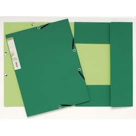 Exacompta Recycling Sammelmappe FOREVER, grün, A4, 1 Stück Artikelbild