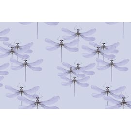 Hedlunds OF SWEDEN Presentpapper 70cmx10m Dragonfly produktfoto
