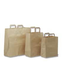 Papirbærepose m/håndtak 16L (200) produktbilde