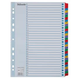 Register ESSELTE A4 mylar 1-31 produktbilde