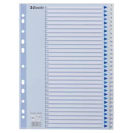 Register ESSELTE A4 plast 1-31 blå/hvit produktbilde