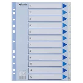 Register ESSELTE A4 plast 1-12 blå/hvit produktbilde