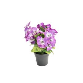 Stemorsblomst  i potte rosa produktbilde