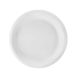 Tallerken bagasse fiber 25cm hvit (50) produktbilde