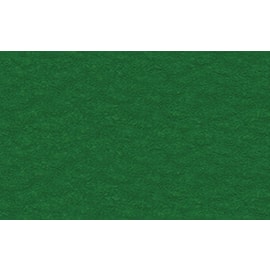 Fotokartong URSUS 50x70 300g mørk grønn produktbilde
