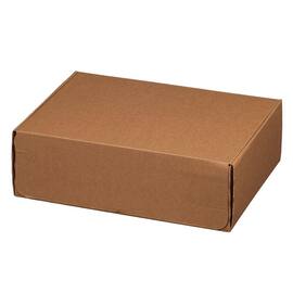 Smartbox Pro Modulbox 4 mit Haftklebeverschluss und Aufreißfaden, 305x210x91mm, braun, 20 Stück Artikelbild
