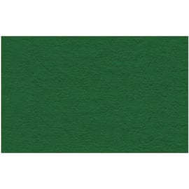 Fotokartong URSUS A4 300g mørk grønn produktbilde