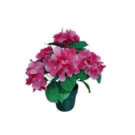 Hortensia  i potte rosa. produktbilde