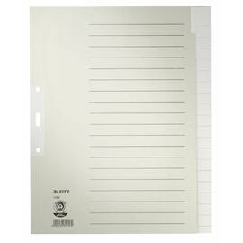 Leitz Ordnerregister A4, blanko, 20 Blatt, Tauenpapier, grau Artikelbild