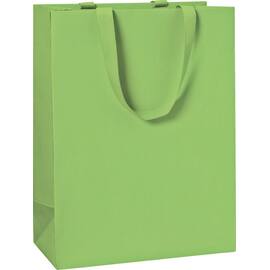 Gavepose 23x13x30 lime produktbilde