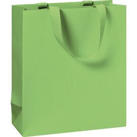 Gavepose 18x8x21cm lime produktbilde