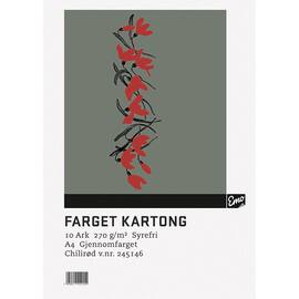 Kartong EMO A4 270g 38 chilirød (10) produktbilde