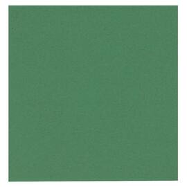 ABENA Servett 1-lags grön 33x33cm produktfoto