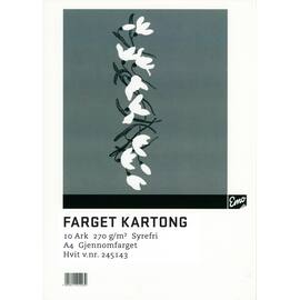 Kartong EMO A4 270g 07 hvit (10) produktbilde