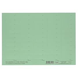 Elba Reitereinlagen 83582 4-zeilig 58x18 mm grün, 50 Stück Artikelbild