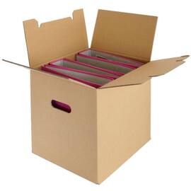 Pressel Transport- und Archivbox für 4 Ordner, 332x287x327 mm Artikelbild