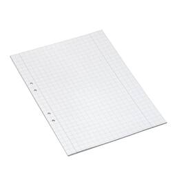 Bantex Lösblad A4 rutat 10x10mm hålat produktfoto