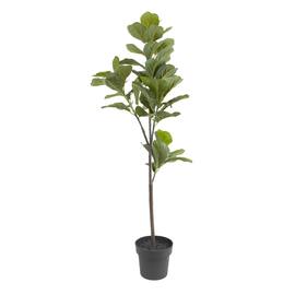 Kunstig plante Fiolinfiken, H140cm produktbilde