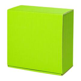 Geschenkbox Amsterdam Allround S, 200x190x100mm, hellgrün, 1 Stück Artikelbild