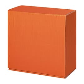 Geschenkbox Amsterdam Allround M, 250x240x120mm, orange, 1 Stück Artikelbild