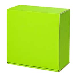 Geschenkbox Amsterdam Allround L, 300x300x110mm, hellgrün, 1 Stück Artikelbild