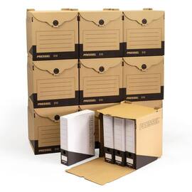 Pressel Archivset F75, Natur, 10 Sammelbehälter + 40 Ablageboxen (vorher Art.Nr. 232099) Artikelbild