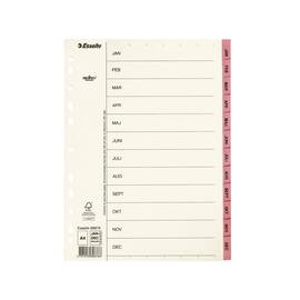 Esselte Pappregister Servo A4 Jan-Dec rosa produktfoto