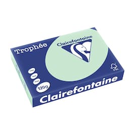 Clairefontaine Multifunktionspapier Trophée, Kopierpapier, Druckerpapier, pastell grün, A4, 120g, 250 Blatt, 1 Packung Artikelbild