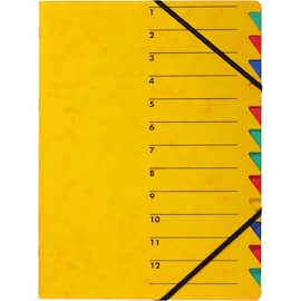 PAGNA Ordnungsmappe Easy, 12 Fächer, gelb, für A4  mit Gummizug, 1 Stück Artikelbild