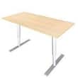 LANAB DESIGN Bordskiva Basic 160x80 Björk produktfoto