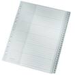 Leitz Ordnerregister A4, 1-31, PP, grau Artikelbild
