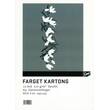 Kartong EMO A4 270g 07 hvit (10) produktbilde