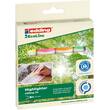 edding Textmarker 24 EcoLine, Keilspitze, 2-5 mm, 4er-Set Artikelbild