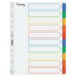 Lyreco PREMIUM Ordnerregister A4, blanko, 10farbig, Register, Karton, 160g/m², 11fach Lochung, 10 Blatt pro Packung, 1 Packung Artikelbild